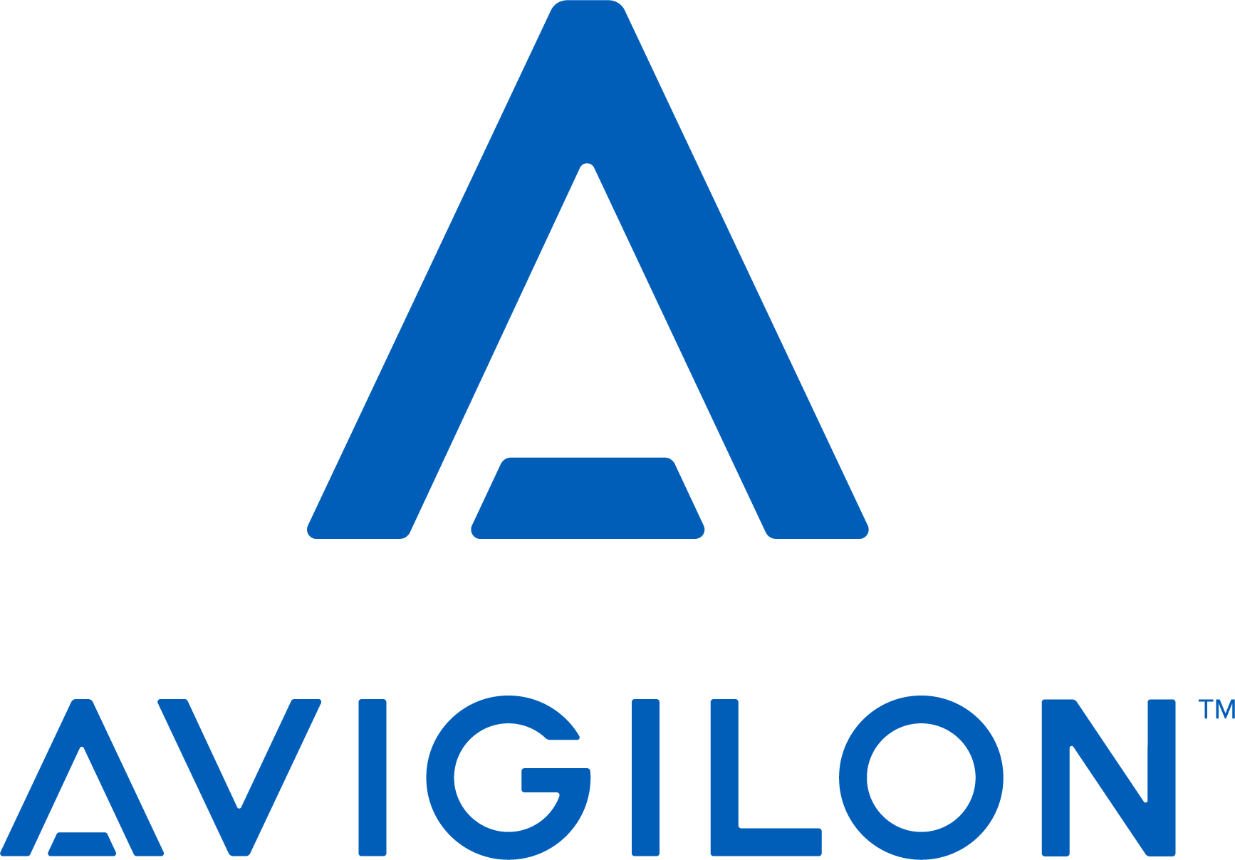 Avigilon - video management, analytics, and physical security platform partner